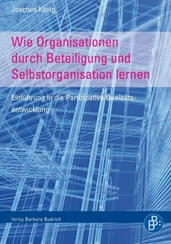 Wie Organisationen durch Beteiligung und Selbstorganisation lernen von König,  Joachim