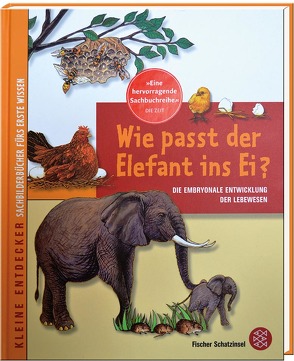 Wie passt der Elefant ins Ei von Kim,  Mi-Gyeong, Lee,  Geun-Jeong, Zaborowski,  Hans-Jürgen