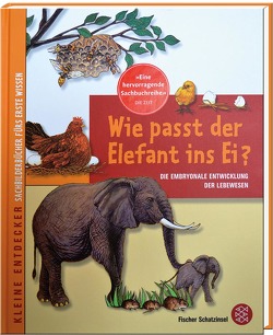 Wie passt der Elefant ins Ei von Kim,  Mi-Gyeong, Lee,  Geun-Jeong, Zaborowski,  Hans-Jürgen