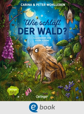 Wie schläft der Wald? von Kohne,  Diana, Wohlleben,  Carina, Wohlleben,  Peter