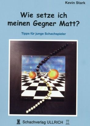 Wie setze ich meinen Gegner matt ? von Stark,  Kevin