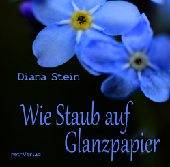 Wie Staub auf Glanzpapier von Stein,  Diana