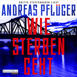 Wie sterben geht von Pflüger,  Andreas, Steffenhagen,  Britta