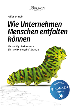 Wie Unternehmen Menschen entfalten können von Schaub,  Fabian