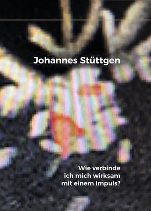 Wie verbinde ich mich wirksam mit einem Impuls? von Stüttgen,  Johannes