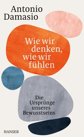 Wie wir denken, wie wir fühlen von Damasio,  Antonio, Vogel,  Sebastian