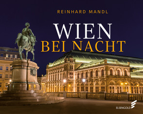 Wien bei Nacht von Mandl,  Reinhard