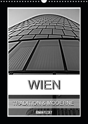 Wien, Tradition und Moderne (Wandkalender 2019 DIN A3 hoch) von Plesky,  Roman