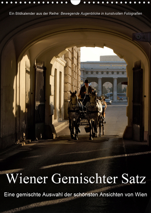 Wiener Gemischter SatzAT-Version (Wandkalender 2020 DIN A3 hoch) von Bartek,  Alexander