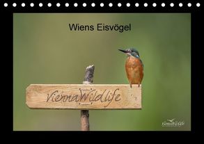 Wiens Eisvögel (Tischkalender 2018 DIN A5 quer) von Wildlife/Karl Leitner,  Vienna