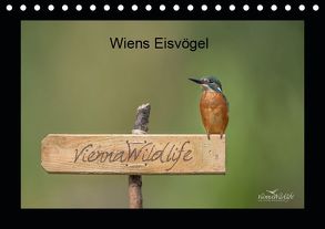 Wiens Eisvögel (Tischkalender 2019 DIN A5 quer) von Wildlife/Karl Leitner,  Vienna