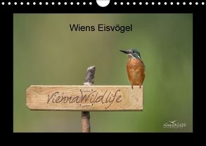 Wiens Eisvögel (Wandkalender 2018 DIN A4 quer) von Wildlife/Karl Leitner,  Vienna