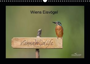 Wiens Eisvögel (Wandkalender 2019 DIN A3 quer) von Wildlife/Karl Leitner,  Vienna