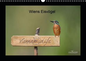 Wiens Eisvögel (Wandkalender 2020 DIN A3 quer) von Wildlife/Karl Leitner,  Vienna