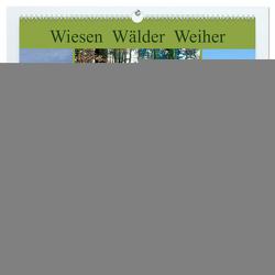 Wiesen Wälder Weiher. Der Naturpark Augsburg-Westliche Wälder (hochwertiger Premium Wandkalender 2024 DIN A2 quer), Kunstdruck in Hochglanz von Lutzenberger,  Monika