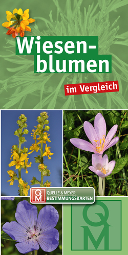 Wiesenblumen im Vergleich von Quelle & Meyer Verlag