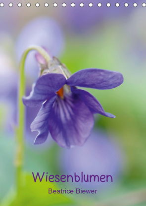 Wiesenblumen (Tischkalender 2021 DIN A5 hoch) von Biewer,  Beatrice