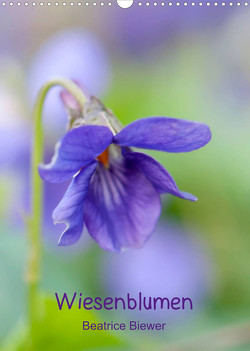 Wiesenblumen (Wandkalender 2023 DIN A3 hoch) von Biewer,  Beatrice