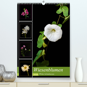 Wiesenblumen – Wilde Schönheiten (Premium, hochwertiger DIN A2 Wandkalender 2020, Kunstdruck in Hochglanz) von Beuck,  Angelika