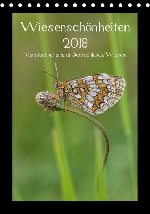 Wiesenschönheiten (Tischkalender 2018 DIN A5 hoch) von Birzer,  Christian