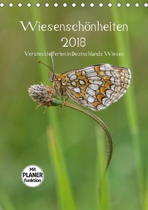 Wiesenschönheiten (Tischkalender 2018 DIN A5 hoch) von Birzer,  Christian