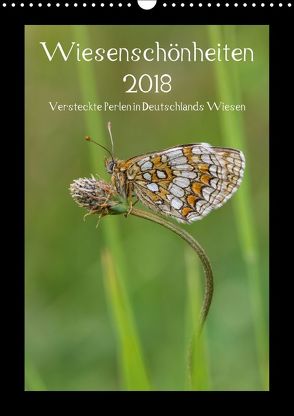 Wiesenschönheiten (Wandkalender 2018 DIN A3 hoch) von Birzer,  Christian