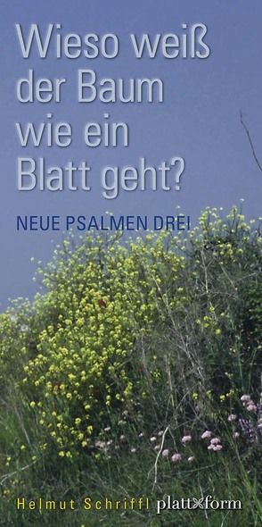 Wieso weiß der Baum wie ein Blatt geht? von Schriffl,  Helmut