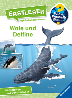 Wieso? Weshalb? Warum? Erstleser, Band 3: Wale und Delfine von Noa,  Sandra, Vohwinkel,  Astrid