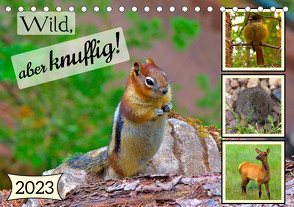 Wild, aber knuffig! (Tischkalender 2023 DIN A5 quer) von Plastron Pictures,  Lost