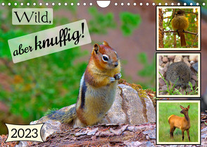 Wild, aber knuffig! (Wandkalender 2023 DIN A4 quer) von Plastron Pictures,  Lost