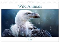 Wild Animals – Wilde Tiere (Wandkalender 2024 DIN A3 quer), CALVENDO Monatskalender von Bürger,  Janina