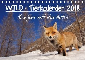 WILD – Tierkalender 2018 (Tischkalender 2018 DIN A5 quer) von Colombo,  Marco