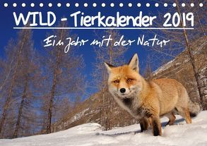 WILD – Tierkalender 2019 (Tischkalender 2019 DIN A5 quer) von Colombo,  Marco