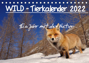 WILD – Tierkalender 2022 (Tischkalender 2022 DIN A5 quer) von Colombo,  Marco