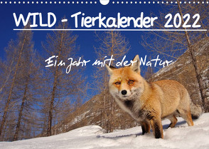 WILD – Tierkalender 2022 (Wandkalender 2022 DIN A3 quer) von Colombo,  Marco