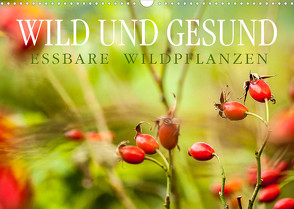 WILD UND GESUND Essbare Wildpflanzen (Wandkalender 2022 DIN A3 quer) von Wuchenauer pixelrohkost.de,  Markus