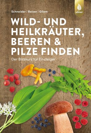 Wild- und Heilkräuter, Beeren und Pilze finden von Beiser,  Rudi, Gliem,  Maurice, Schneider,  Christine
