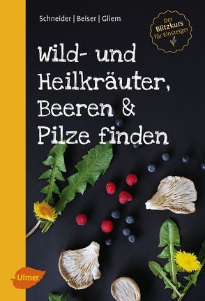 Wild- und Heilkräuter, Beeren und Pilze finden von Beiser,  Rudi, Gliem,  Maurice, Schneider,  Christine