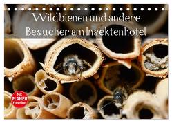 Wildbienen und andere Besucher am Insektenhotel (Tischkalender 2024 DIN A5 quer), CALVENDO Monatskalender von Frost,  Anja