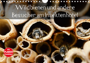 Wildbienen und andere Besucher am Insektenhotel (Wandkalender 2021 DIN A4 quer) von Frost,  Anja