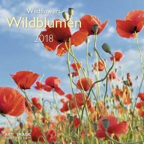 Wildblumen 2018 A&I