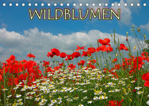 Wildblumen 2022 (Tischkalender 2022 DIN A5 quer) von Geduldig,  Bildagentur