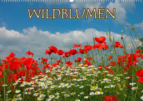 Wildblumen 2022 (Wandkalender 2022 DIN A2 quer) von Geduldig,  Bildagentur