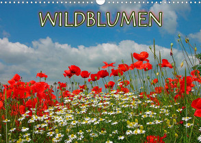 Wildblumen 2022 (Wandkalender 2022 DIN A3 quer) von Geduldig,  Bildagentur