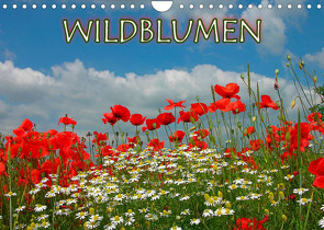 Wildblumen 2022 (Wandkalender 2022 DIN A4 quer) von Geduldig,  Bildagentur