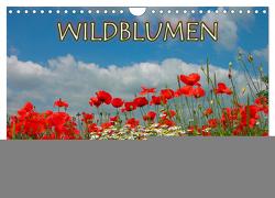 Wildblumen 2024 (Wandkalender 2024 DIN A4 quer), CALVENDO Monatskalender von Geduldig,  Bildagentur