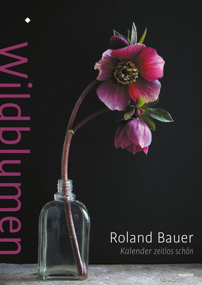 Wildblumen von Roland,  Bauer