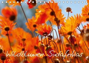 Wildblumen Südafrikas (Tischkalender 2018 DIN A5 quer) von Schütter,  Stefan