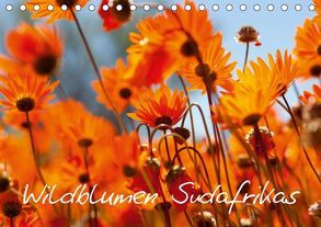 Wildblumen Südafrikas (Tischkalender 2019 DIN A5 quer) von Schütter,  Stefan