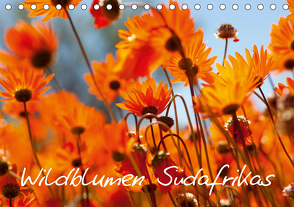 Wildblumen Südafrikas (Tischkalender 2021 DIN A5 quer) von Schütter,  Stefan